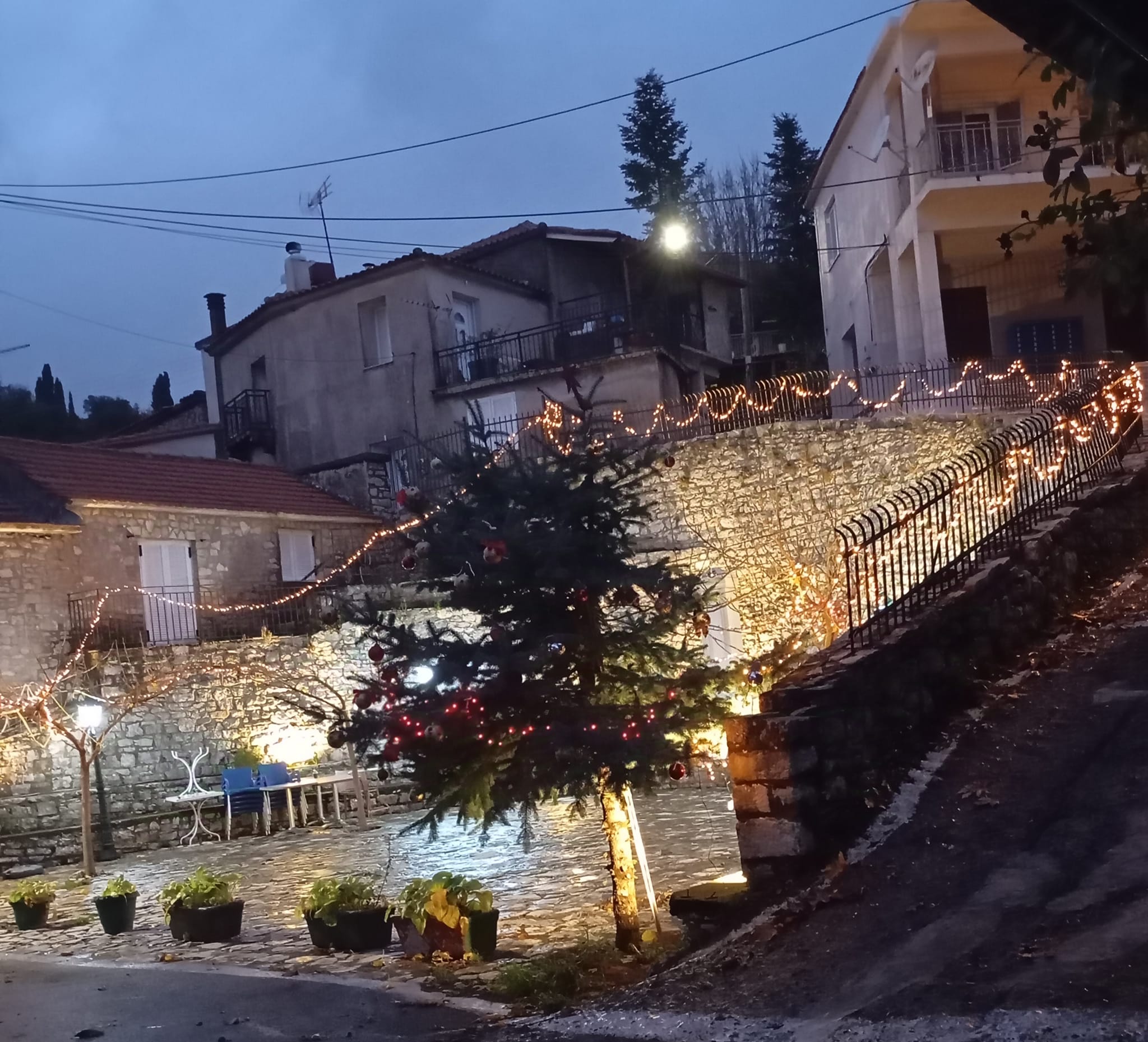 ΑΛΩΝΙ 01
